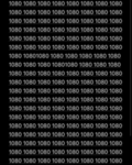 1080 enthusiast