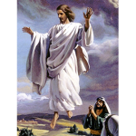 christ believer