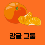 감귤 그룹