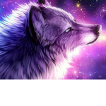 GalaxyWolf_Nasuki