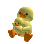 Duck Family
