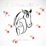 Wild Heart Stables Lessons + Comps