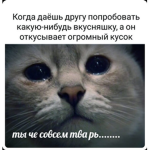 Кото банда