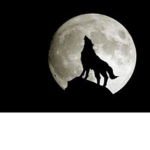Myla’s Wolfies