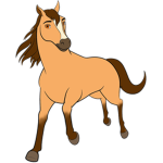 Horse Valley Riding Club
