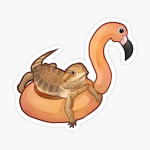 -chub chubs the lizard-