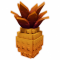 Fall Pineapple produce