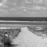 Beach peepss