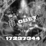 雨Obey