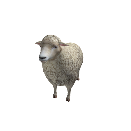 Random Red Sheep