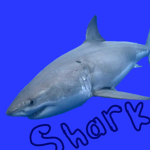 Sharky Army!!!