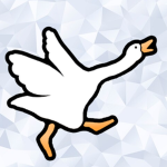 Goose ~ Studios