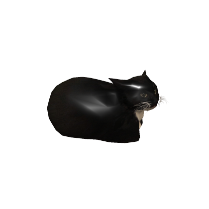 Holdable Maxwell