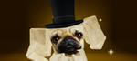 Adopt me (SORTEO DE MASCOTAS)