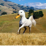 Peanut butter OFFICIAL