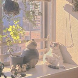 ‧˚˖ ✿ 彡