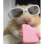 Amigo de María