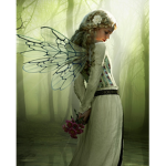 The Fairy's Only