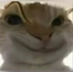 Ashlee's fan group