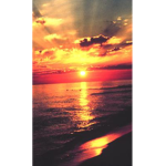 Mia's dawn group