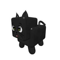 Black Cat