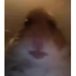 Robux for u OvO