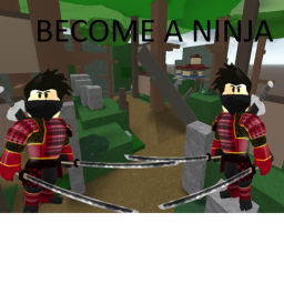 Ninja Training