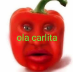 los carlita