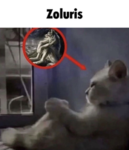 Zoluris Corporation