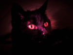 Ghouley