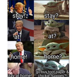 STAY AT  HOME!