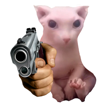 [🔊] Bingus Combat