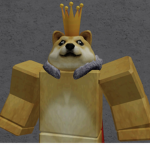 the dogesssss