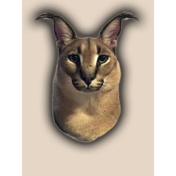 ###### obby
