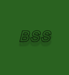 [BSS]