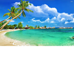 •xtropicalx•