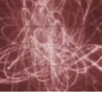 | The [ REDACTED ]|