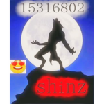 Shinz彡