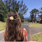 #faeries