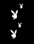 Loves bunny’s