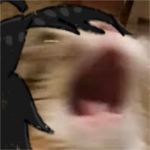 Hi :>>>>