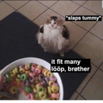 *slaps tummy* it hold's many loops