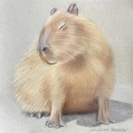 Napybara