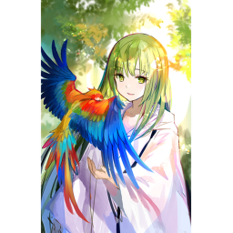 parrot time:D