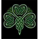 The sons and dautghters of the irish