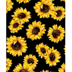 Sunny gruop