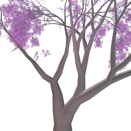 Cherry Blossom Tree