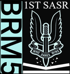 Task Force 22nd SASR | Joint Operations