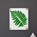 Fern.CO