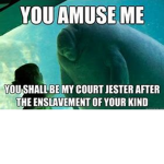 Manatee raid group